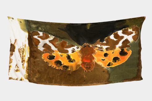 Daniel-Dewar-Gregory-Gicquel-Garden-Tiger-n°-2-2012-photo-Simon-Haenni-1-scaled