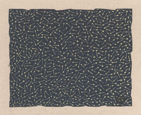 SHAR-001 Raja Babu Sharma DSC_1961