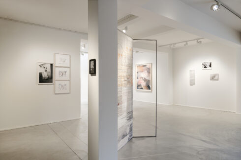 _DSC3446 (© Hugard and Vanoverschelde)