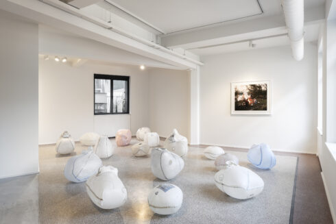 _DSC3496 (© Hugard and Vanoverschelde)