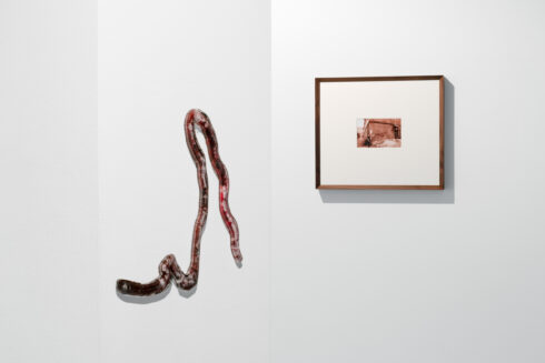 Cloud_Seven_6 (2) (1)