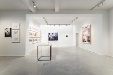 _DSC3435 (© Hugard and Vanoverschelde)