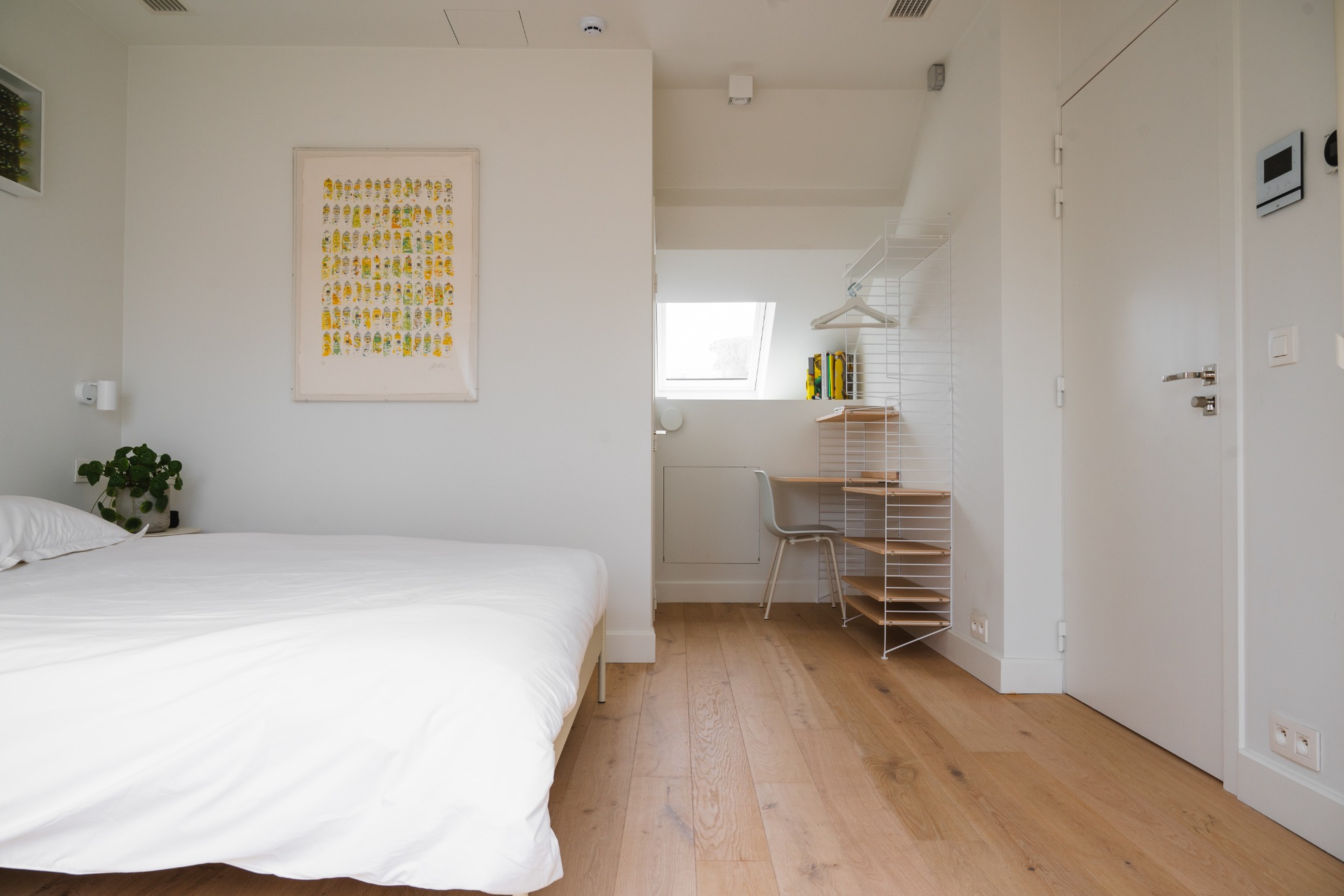 resized_7700x5136_no_borders