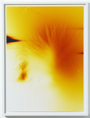 TILW-001 Wolfgang Tilmanns